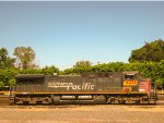 UP AC4400 Locomotive ex SP